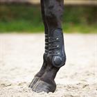 Gamaschen QHP Champion Schwarz