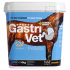 GastriVet NAF Sonstige