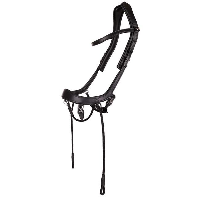 Gebisslose Trense FaySport PresTeq Schwarz
