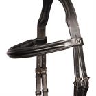 Gebisslose Trense Sidepull Harry's Horse Schwarz