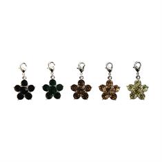Glücksbringer Flower 5er-Pack Kentucky Grün