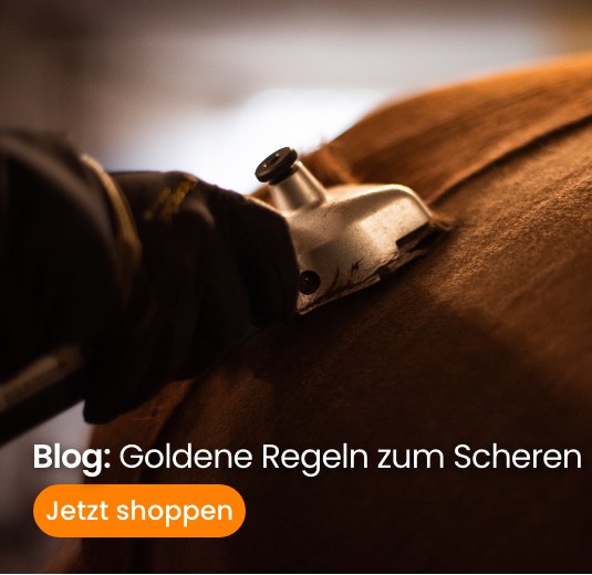 Goldene Regeln zum Scheren