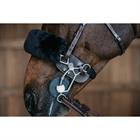 Hackamore-Schutz Dy'on Braun