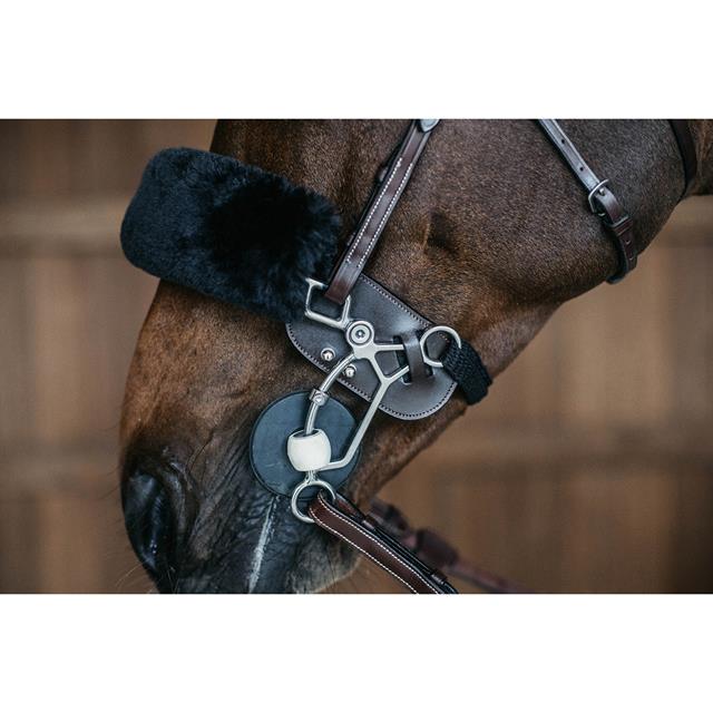 Hackamore-Schutz Dy'on Braun