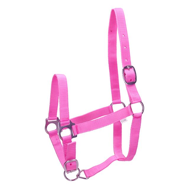 Halfter Basic Barato Dunkelrosa