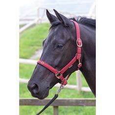 Halfter Bit Harry's Horse Dunkelrot