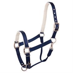 Halfter BR Event Blau