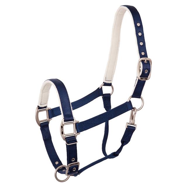 Halfter BR Event Blau