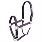 Halfter BR Event Lila-Blau