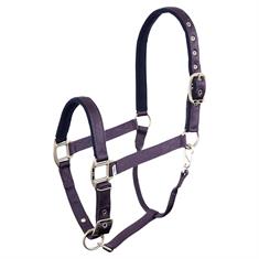 Halfter BR Event Lila-Blau
