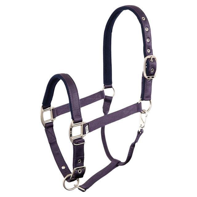 Halfter BR Event Lila-Blau