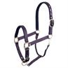 Halfter BR Event Lila-Blau