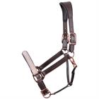 Halfter Broadway Harry's Horse Braun
