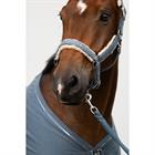 Halfter Classic Sports Denim Teddyfleece Double Pin Eskadron Blau
