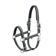 Halfter Classic Sports Double Pin Eskadron Dunkelblau-Grün
