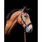 Halfter D Collection by Dy'on Schwarz