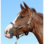Halfter Dublin Bucas Braun-Silber