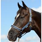 Halfter Dublin Bucas Dunkelblau-Silber