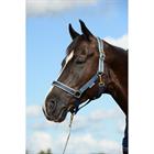 Halfter Dublin Bucas Dunkelblau-Silber