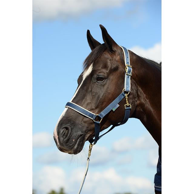 Halfter Dublin Bucas Dunkelblau-Silber