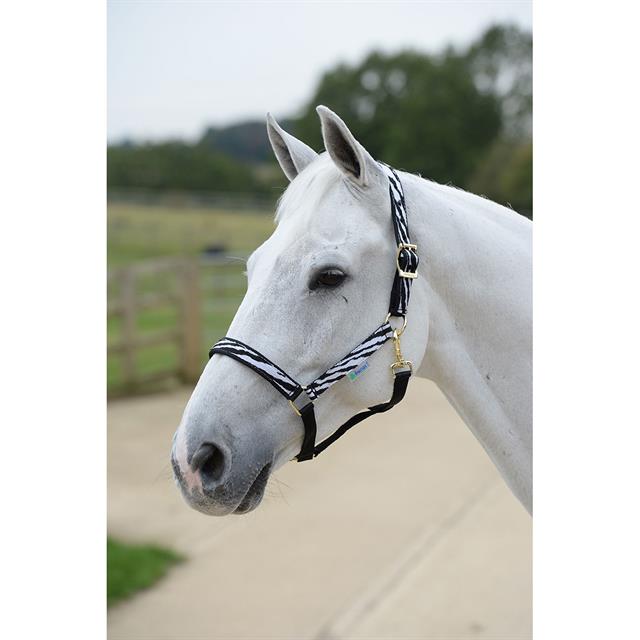 Halfter Dublin Bucas Zebra