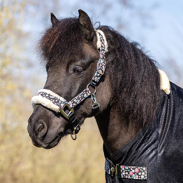 Halfter EJLes Fleurs Epplejeck Schwarz