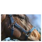 Halfter Grooming Anky Dunkelblau