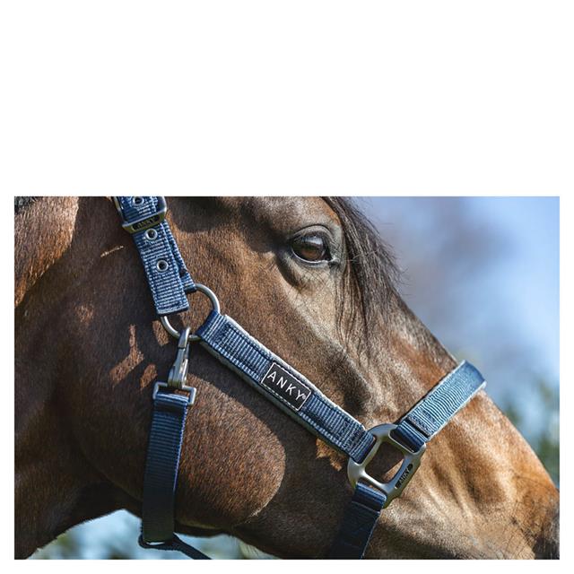 Halfter Grooming Anky Dunkelblau