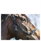 Halfter Grooming Anky Schwarz