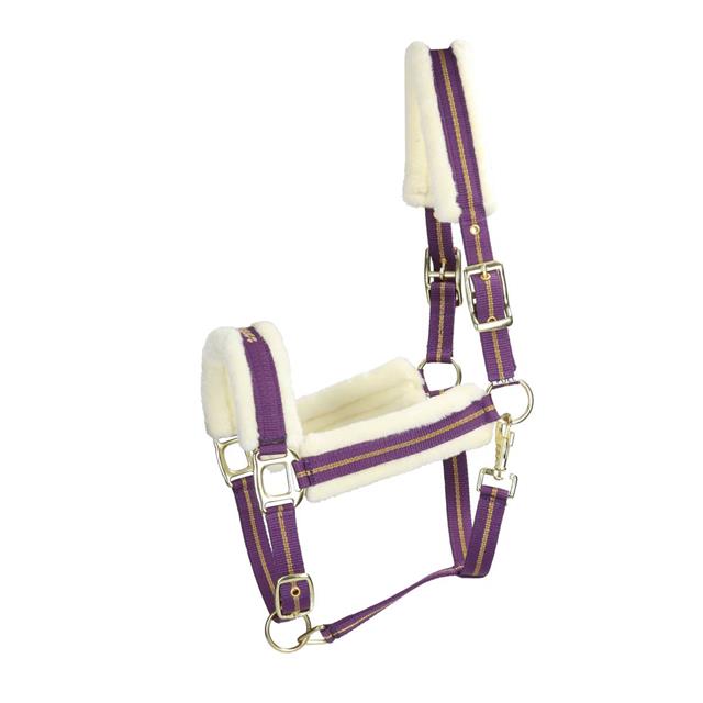 Halfter HGLyx HORSEGEAR Lila