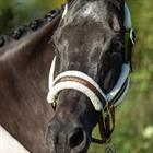 Halfter HORSEGEAR Lyx Dunkelbraun