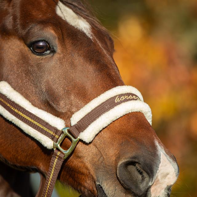 Halfter HORSEGEAR Lyx Dunkelbraun