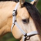 Halfter IRHSparkle Imperial Riding Gebrochenes Weiß