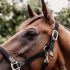 Halfter Kentucky Gevlochten Schwarz