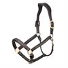 Halfter Leder Crystal LeMieux Braun
