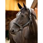 Halfter Leder Crystal LeMieux Schwarz