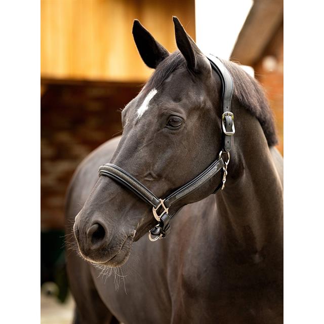 Halfter Leder Crystal LeMieux Schwarz