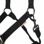 Halfter LeMieux Pro-Safe Schwarz