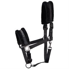 Halfter Lyrics Black Harry's Horse Schwarz