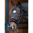 Halfter Lyrics Quotes Harry's Horse Dunkelblau