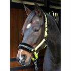 Halfter Lyrics Quotes Harry's Horse Hellgrün