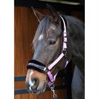 Halfter Lyrics Quotes Harry's Horse Lila