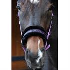Halfter Lyrics Quotes Harry's Horse Lila