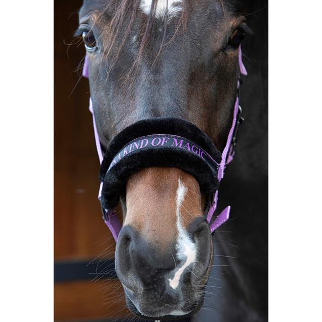 Halfter Lyrics Quotes Harry's Horse Lila