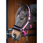 Halfter Lyrics Quotes Harry's Horse Rosa