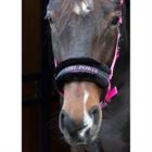 Halfter Lyrics Quotes Harry's Horse Rosa
