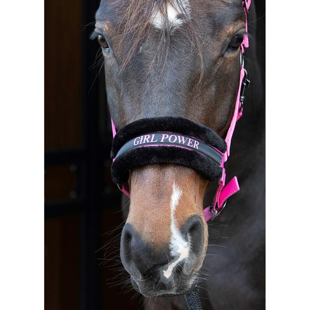 Halfter Lyrics Quotes Harry's Horse Rosa