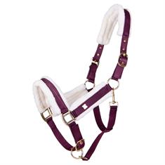 Halfter Menton QHP Lila