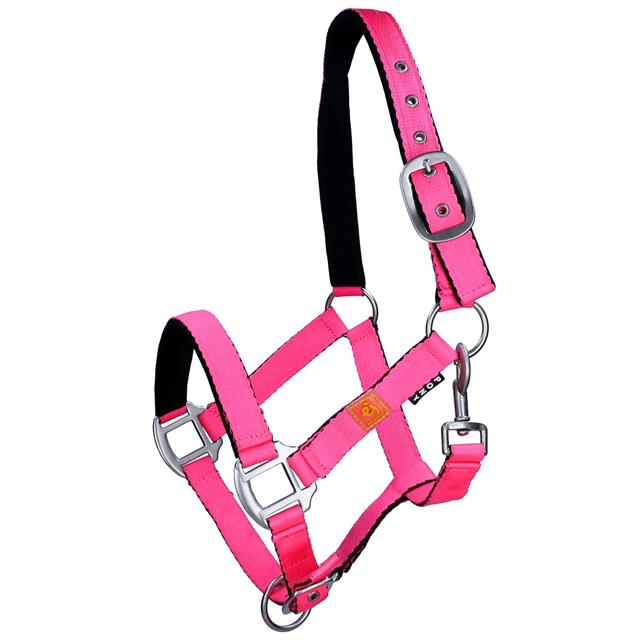 Halfter mit Fliegenfransen Neon Epplejeck Rosa