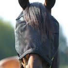 Halfter mit integrierter Fliegenmaske Horsegear Schwarz